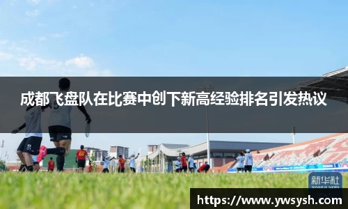 成都飞盘队在比赛中创下新高经验排名引发热议