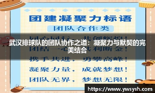 武汉排球队的团队协作之道：凝聚力与默契的完美结合
